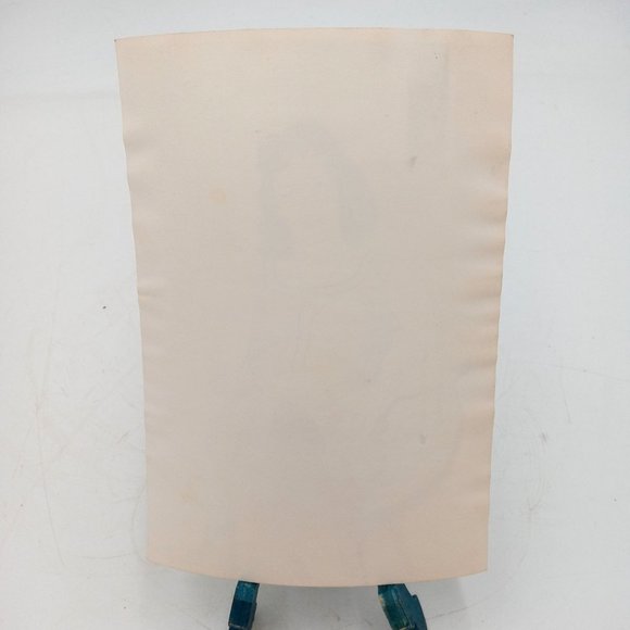 Brunette MCM Mushroom Chair Photograph Picture Cocker Spaniel Wall Art Candid - Picture 6 of 8